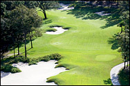 Victoria Hills Golf Club