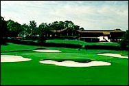 The Grand Club Pine Course